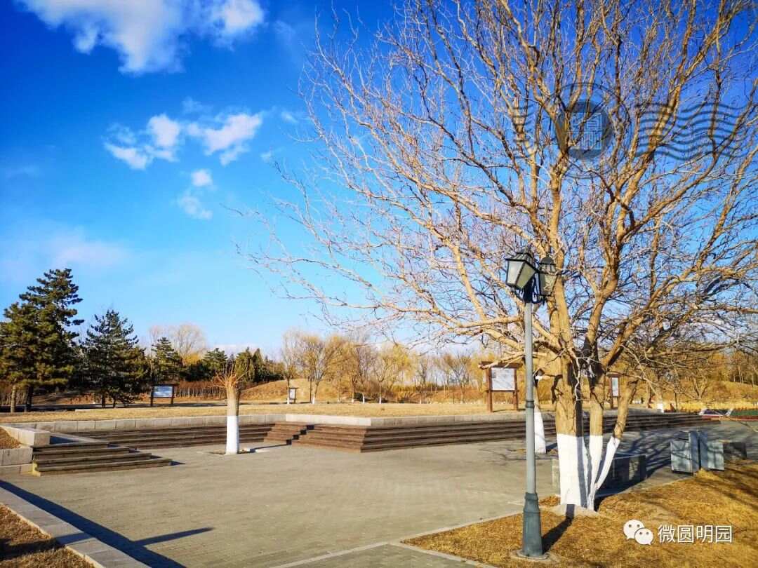 谢满禄旧影今夕（二）梦回圆明园