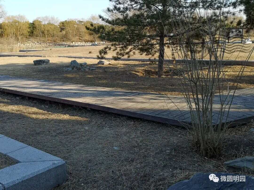 谢满禄旧影今夕（二）梦回圆明园
