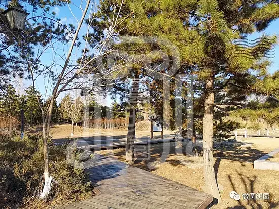 谢满禄旧影今夕(二)梦回圆明园 谢满禄旧影今夕(二)-梦回圆明园