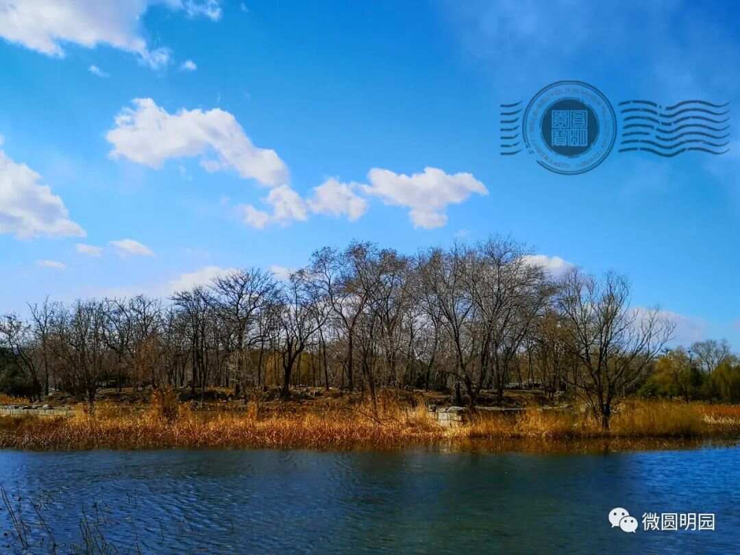 谢满禄旧影今夕（四）梦回圆明园