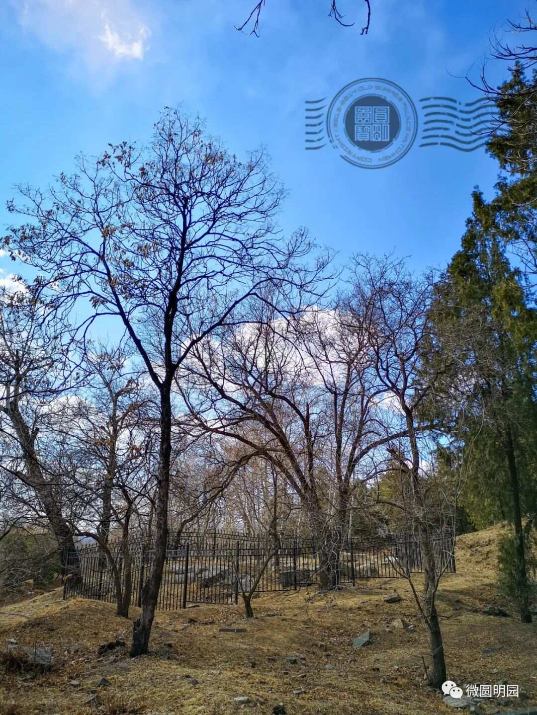 谢满禄旧影今夕（四）梦回圆明园