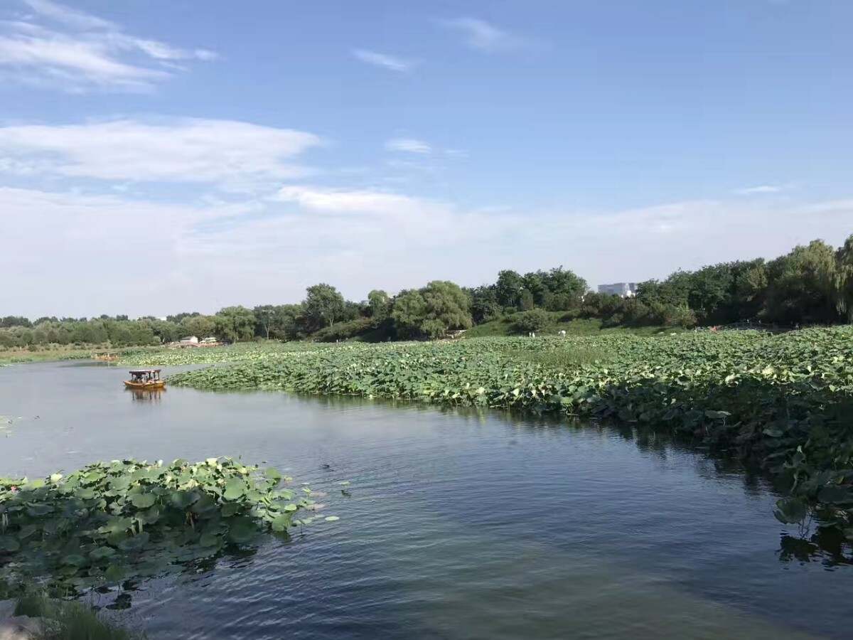 “水木清华”直通未名湖！清华北大圆明园等水系今年将连通梦回圆明园