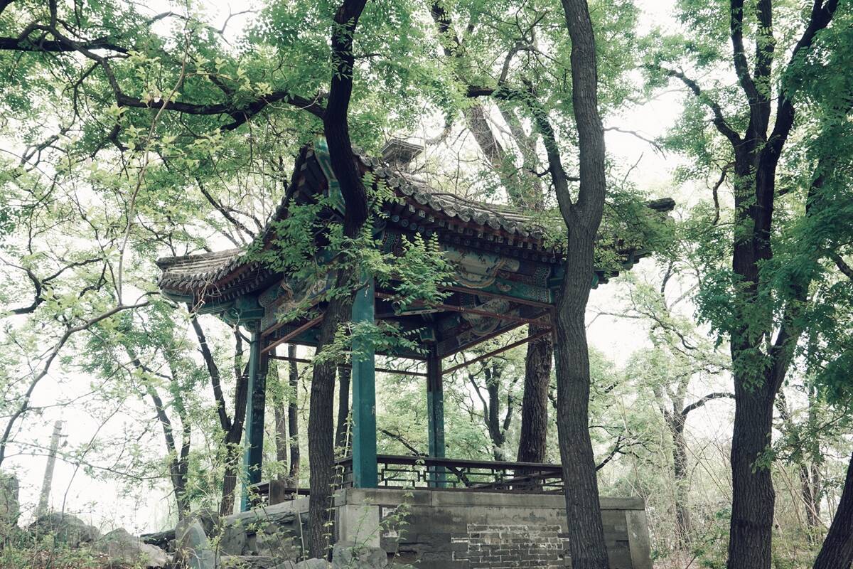 北大名园-蔚秀园梦回圆明园