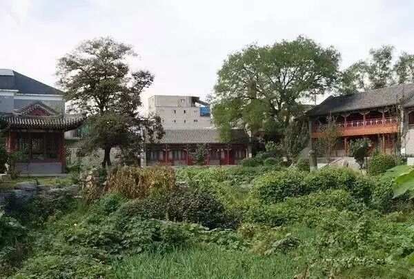 寻找承泽园的前世今生梦回圆明园
