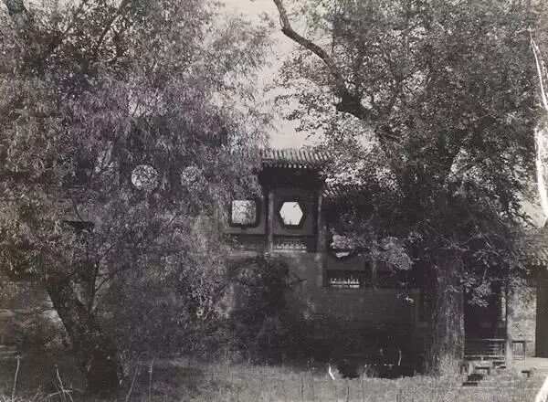 寻找承泽园的前世今生梦回圆明园
