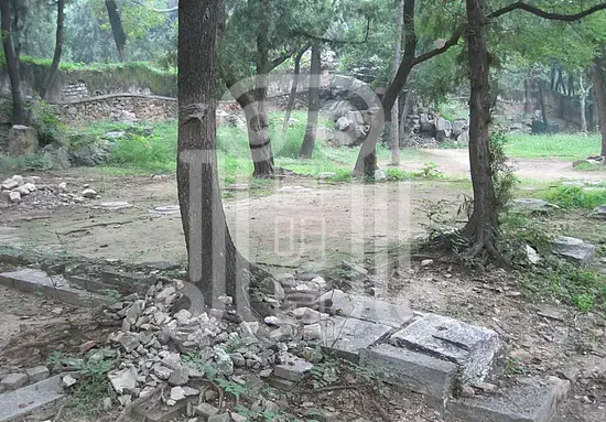 颐和园绮望轩遗址植物景观分析与修复初步研究梦回圆明园 颐和园绮望轩遗址植物景观分析与修复初步研究-梦回圆明园