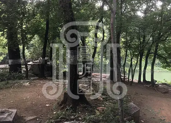 颐和园绮望轩遗址植物景观分析与修复初步研究梦回圆明园 颐和园绮望轩遗址植物景观分析与修复初步研究-梦回圆明园