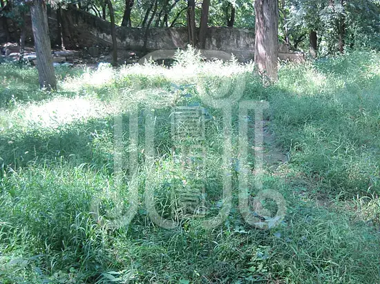 颐和园绮望轩遗址植物景观分析与修复初步研究梦回圆明园 颐和园绮望轩遗址植物景观分析与修复初步研究-梦回圆明园