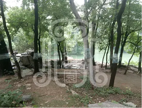 颐和园绮望轩遗址植物景观分析与修复初步研究梦回圆明园 颐和园绮望轩遗址植物景观分析与修复初步研究-梦回圆明园