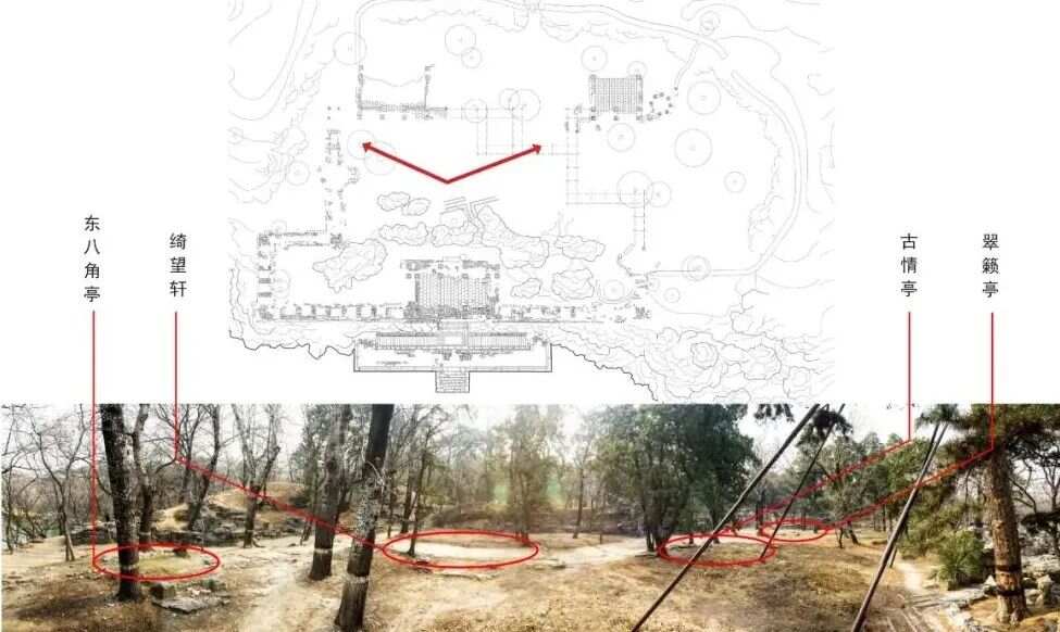 颐和园绮望轩遗址植物景观分析与修复初步研究梦回圆明园