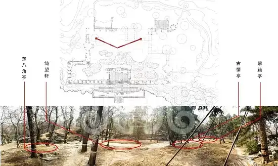 颐和园绮望轩遗址植物景观分析与修复初步研究梦回圆明园 颐和园绮望轩遗址植物景观分析与修复初步研究-梦回圆明园