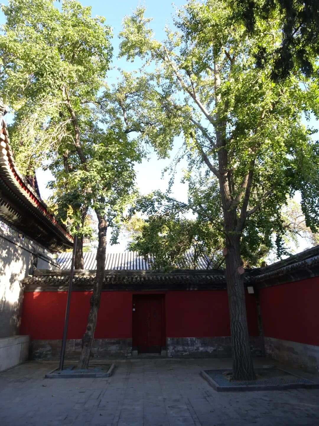 基于样式雷图档的颐和园植物景观研究梦回圆明园