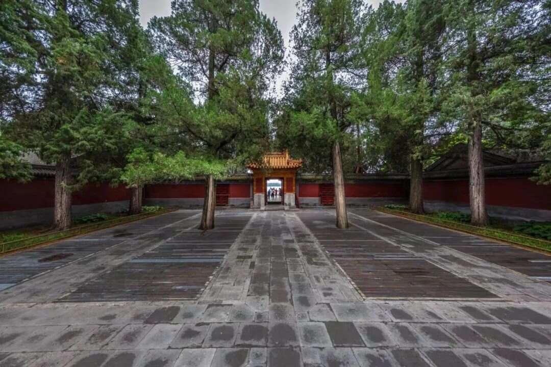 基于样式雷图档的颐和园植物景观研究梦回圆明园