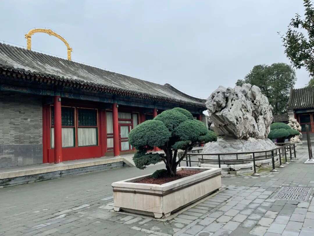 基于样式雷图档的颐和园植物景观研究梦回圆明园